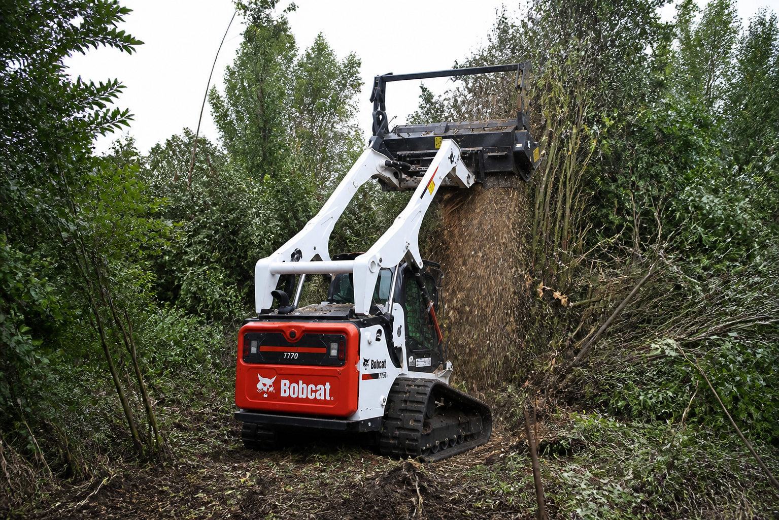 Forestry mulcher clearing heavy woodland growth